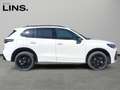Volkswagen Tiguan R-Line TDI 4MOTION DSG Weiß - thumbnail 6