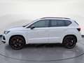 CUPRA Ateca 2.0 TSI 4Drive DSG Weiß - thumbnail 3