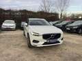 Volvo XC60 Momentum Pro AHK+LED+KAMERA+LEDER+SPURASSIST+1HAND Weiß - thumbnail 1