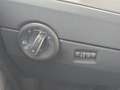 Volkswagen T6 Multivan TDI STANDHZ  ACC 7SITZER MÖGLICH AHK Gris - thumbnail 8