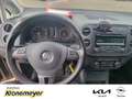 Volkswagen Golf Plus VI 2.0 TDI DPF DSG Style 103 KW (140 PS) AHK-abneh Braun - thumbnail 12