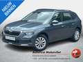 Skoda Kamiq 1.5 TSI ACT Business Edition I INCL. € 850,00 AFL. Grau - thumbnail 1