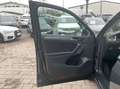 Volkswagen Tiguan Life 2.0 TDI DSG ACC AHK LED  ParkAs Grau - thumbnail 12