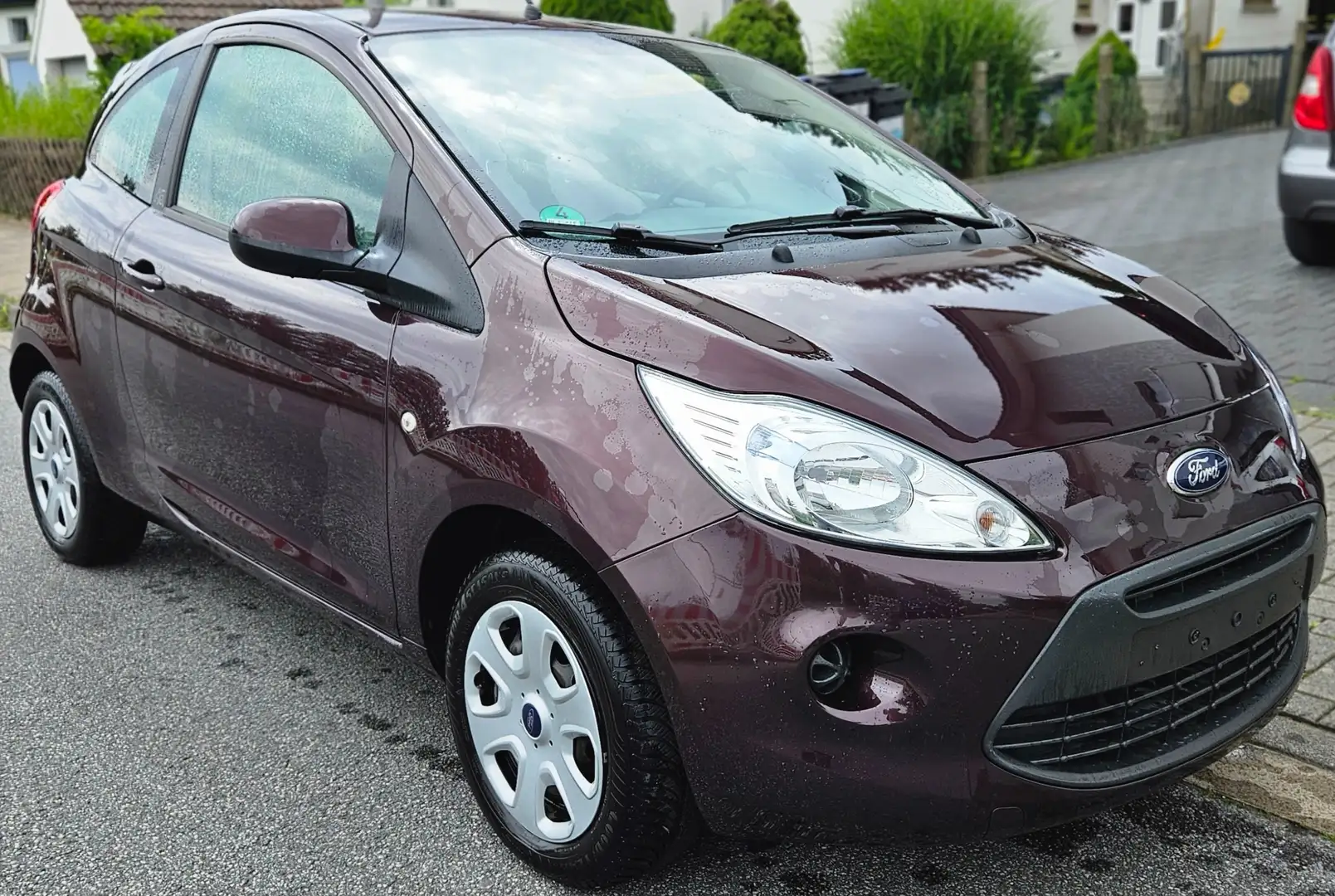 Ford Ka/Ka+ Ka 1.2 Braun - 1