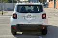 Jeep Renegade Renegade 1.0 T3 Longitude Blanc - thumbnail 6