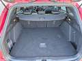 Ford Focus 150PS ST-Line*Pano*LED*RFK*ACC*WiPa*HuD* Rouge - thumbnail 14