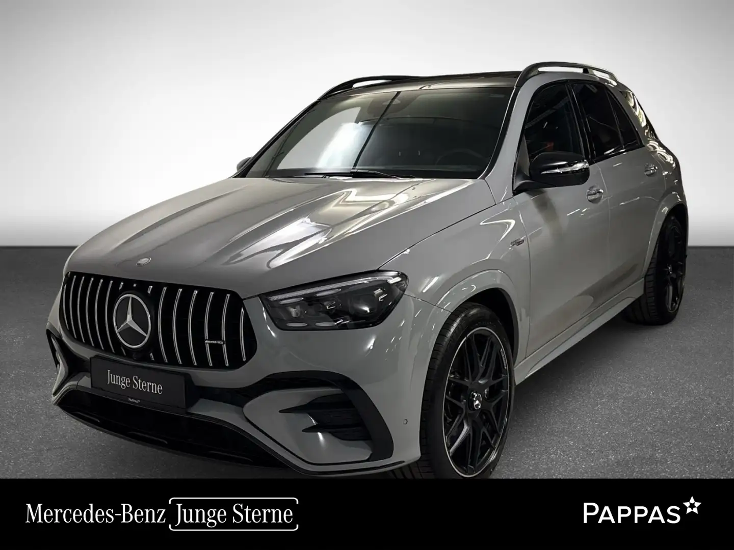 Mercedes-Benz GLE 53 AMG HYBRID 4MATIC+ Perf-AGA PTS Distr Navi Grau - 1