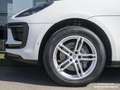 Porsche Macan Aut. Blanco - thumbnail 9
