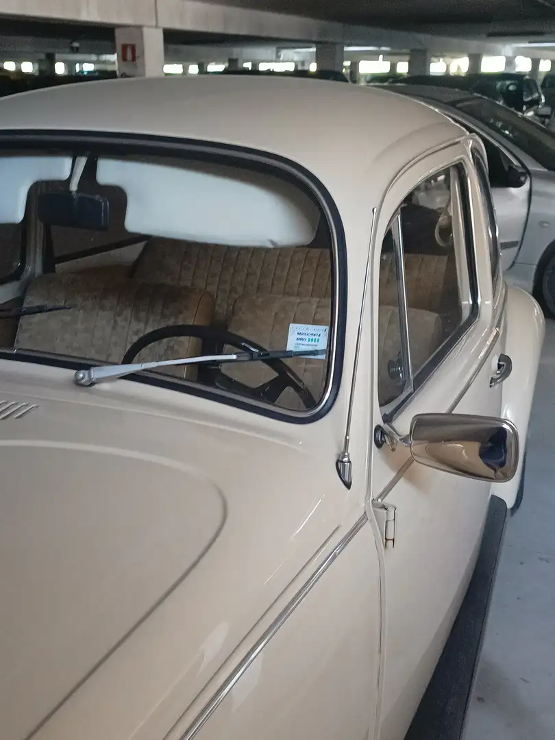 Volkswagen Maggiolino Maggiiono 1.2 vetro piatto brončana - 1