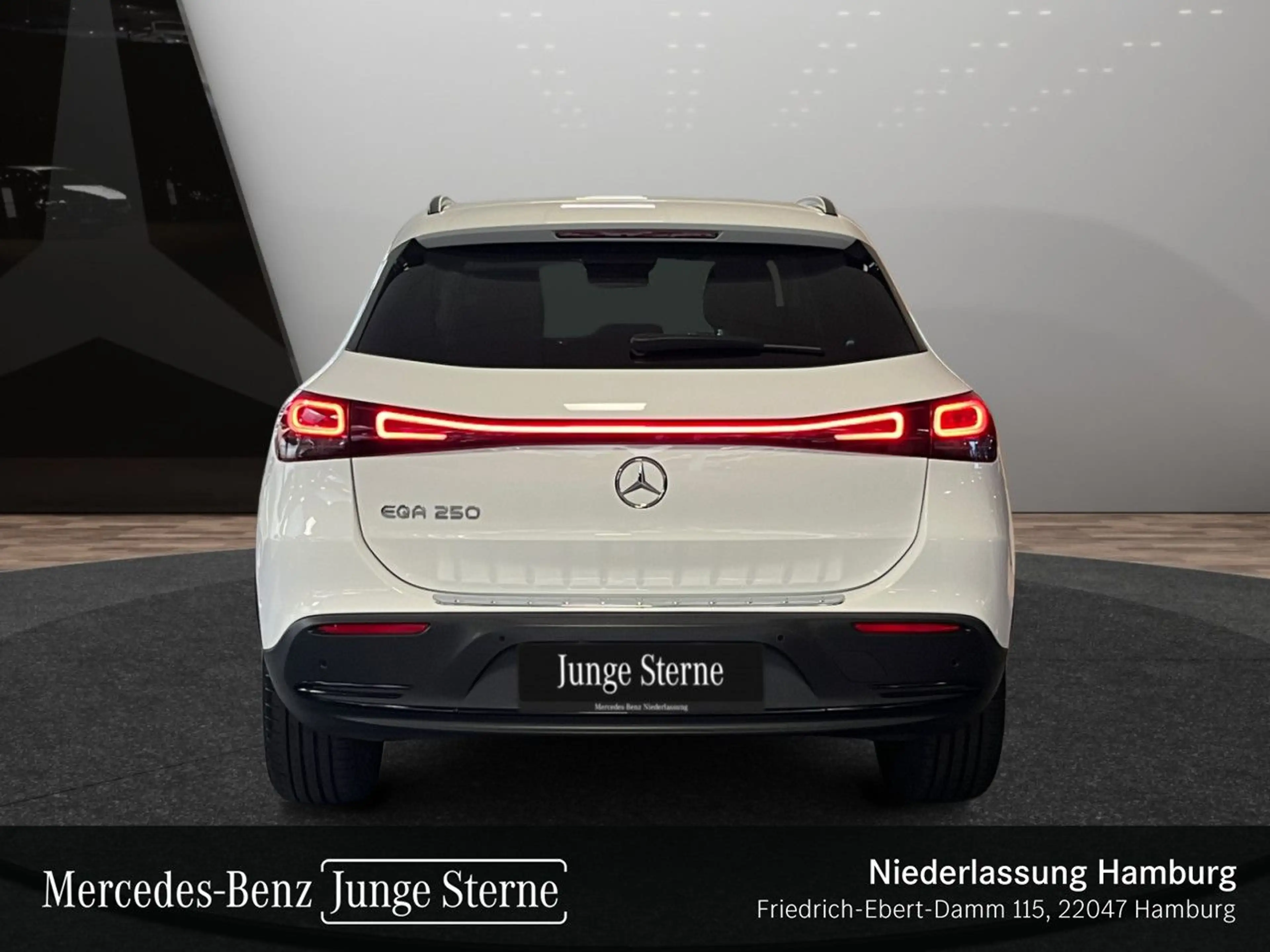 Mercedes-Benz EQA 250 PROG+NIGHT+ADVANCED+360+MEMORY — photo 9
