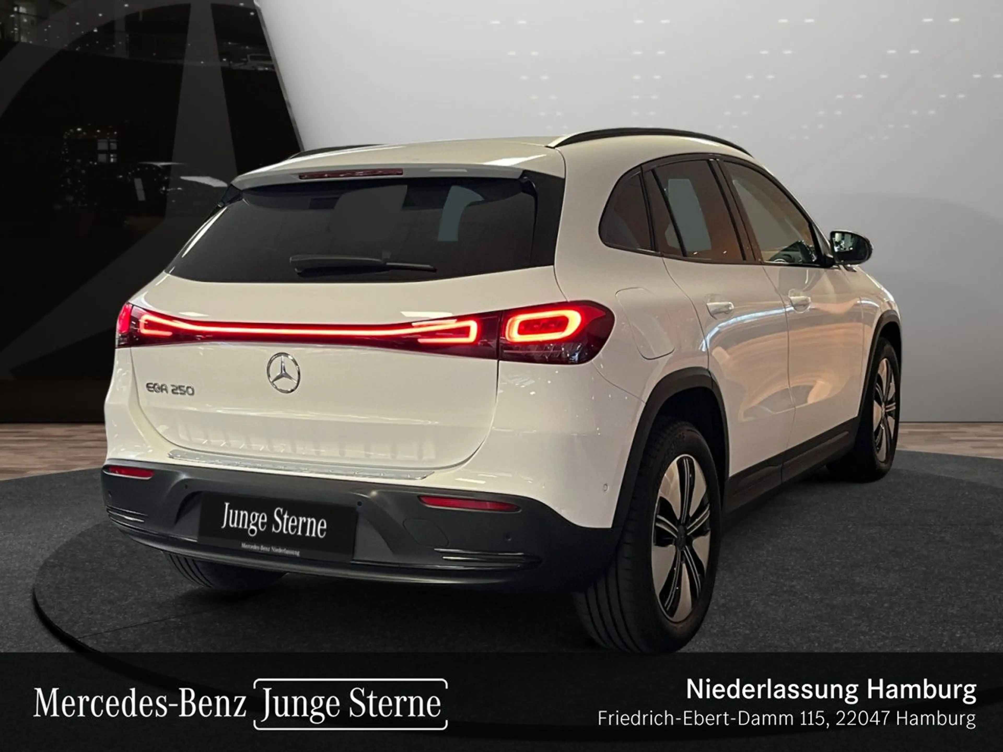 Mercedes-Benz EQA 250 PROG+NIGHT+ADVANCED+360+MEMORY — photo 8