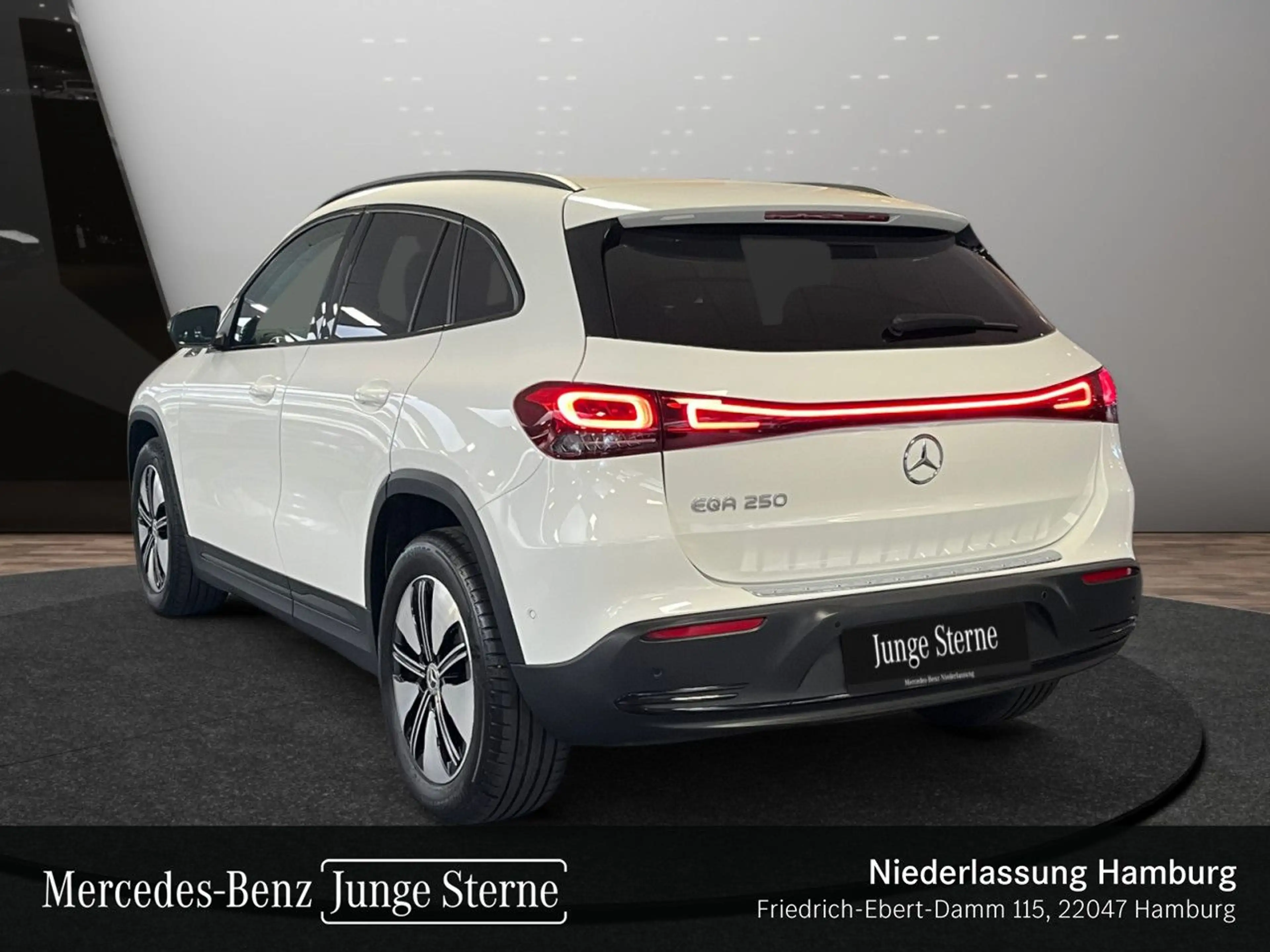 Mercedes-Benz EQA 250 PROG+NIGHT+ADVANCED+360+MEMORY — photo 10