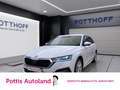 Skoda Octavia Combi 2.0 TDI DSG STYLE STDHZG NAVI LED ACC Weiß - thumbnail 1