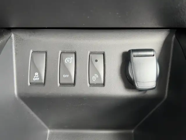 Dacia Spring view 18