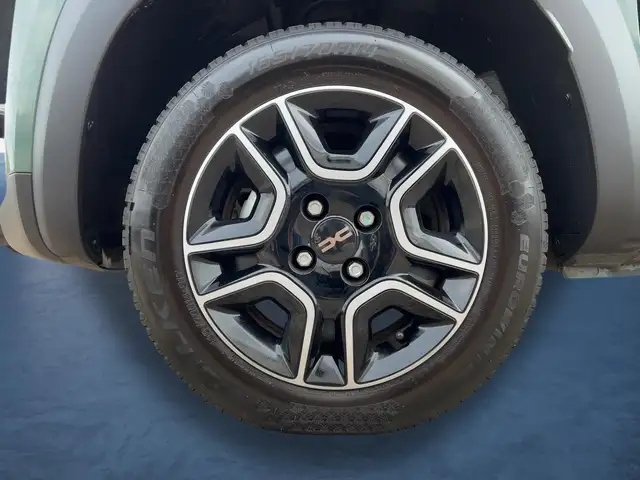Dacia Spring view 22