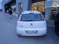 Fiat Punto 1.4 8V 5 porte Naturalpower Lounge METANO 02.2028 Weiß - thumbnail 4