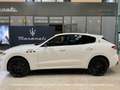 Maserati Levante 430 Ultima *Maserati München* Weiß - thumbnail 2