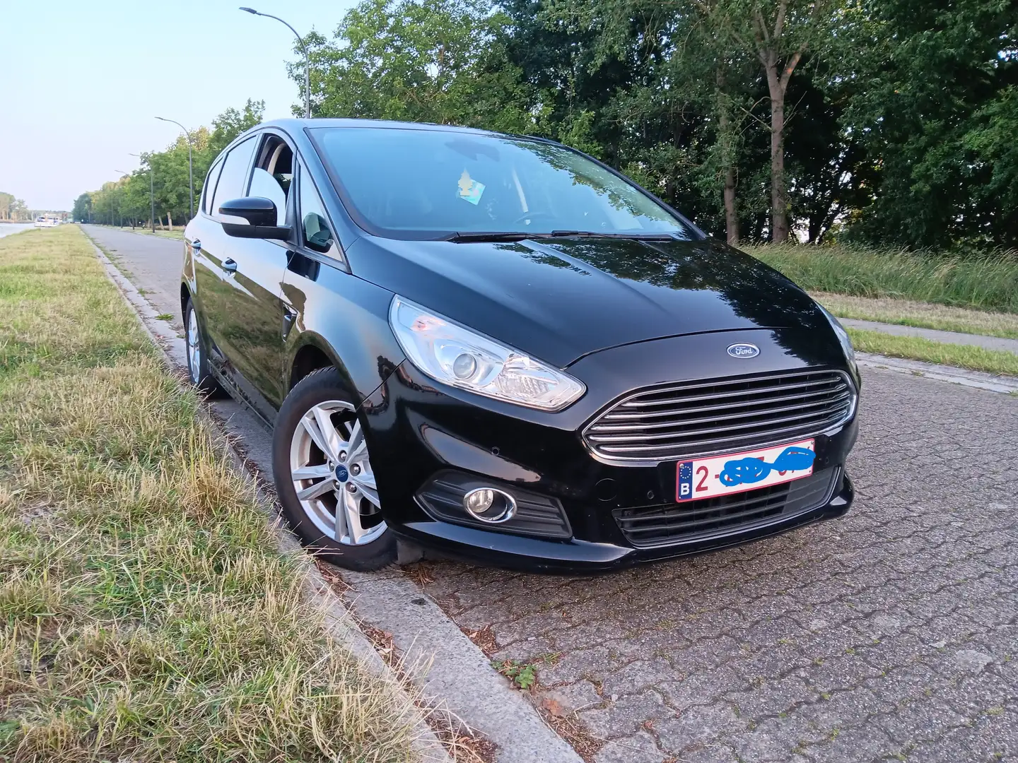 Ford S-Max S-Max 2.0 TDCi Trend 184.000 km Noir - 1