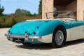 Austin Healey 100/6 BN4 Azul - thumbnail 11