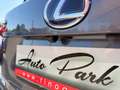 Lexus NX 300 300h 2.5 Executive 2wd cvt Grau - thumbnail 10