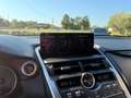 Lexus NX 300 300h 2.5 Executive 2wd cvt Grau - thumbnail 18