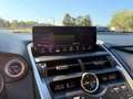Lexus NX 300 300h 2.5 Executive 2wd cvt Grau - thumbnail 21