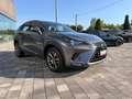 Lexus NX 300 300h 2.5 Executive 2wd cvt Grau - thumbnail 3