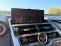 Lexus NX 300 300h 2.5 Executive 2wd cvt Grau - thumbnail 20
