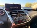 Lexus NX 300 300h 2.5 Executive 2wd cvt Grau - thumbnail 15