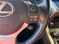 Lexus NX 300 300h 2.5 Executive 2wd cvt Grau - thumbnail 23
