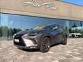Lexus NX 300 300h 2.5 Executive 2wd cvt Grau - thumbnail 2