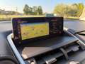 Lexus NX 300 300h 2.5 Executive 2wd cvt Grau - thumbnail 17