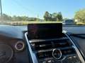 Lexus NX 300 300h 2.5 Executive 2wd cvt Grau - thumbnail 19