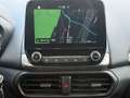 Ford EcoSport Cool & Connect NAVI/SHZ/LHZ/ALU/PDC/AHK Gris - thumbnail 31