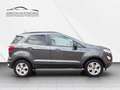 Ford EcoSport Cool & Connect NAVI/SHZ/LHZ/ALU/PDC/AHK Gris - thumbnail 6