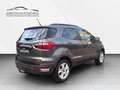 Ford EcoSport Cool & Connect NAVI/SHZ/LHZ/ALU/PDC/AHK Gris - thumbnail 5