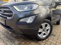 Ford EcoSport Cool & Connect NAVI/SHZ/LHZ/ALU/PDC/AHK Gris - thumbnail 38