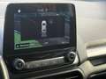 Ford EcoSport Cool & Connect NAVI/SHZ/LHZ/ALU/PDC/AHK Gris - thumbnail 39