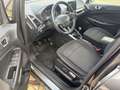 Ford EcoSport Cool & Connect NAVI/SHZ/LHZ/ALU/PDC/AHK Gris - thumbnail 9