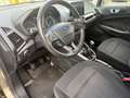 Ford EcoSport Cool & Connect NAVI/SHZ/LHZ/ALU/PDC/AHK Gris - thumbnail 14