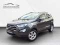Ford EcoSport Cool & Connect NAVI/SHZ/LHZ/ALU/PDC/AHK Gris - thumbnail 1