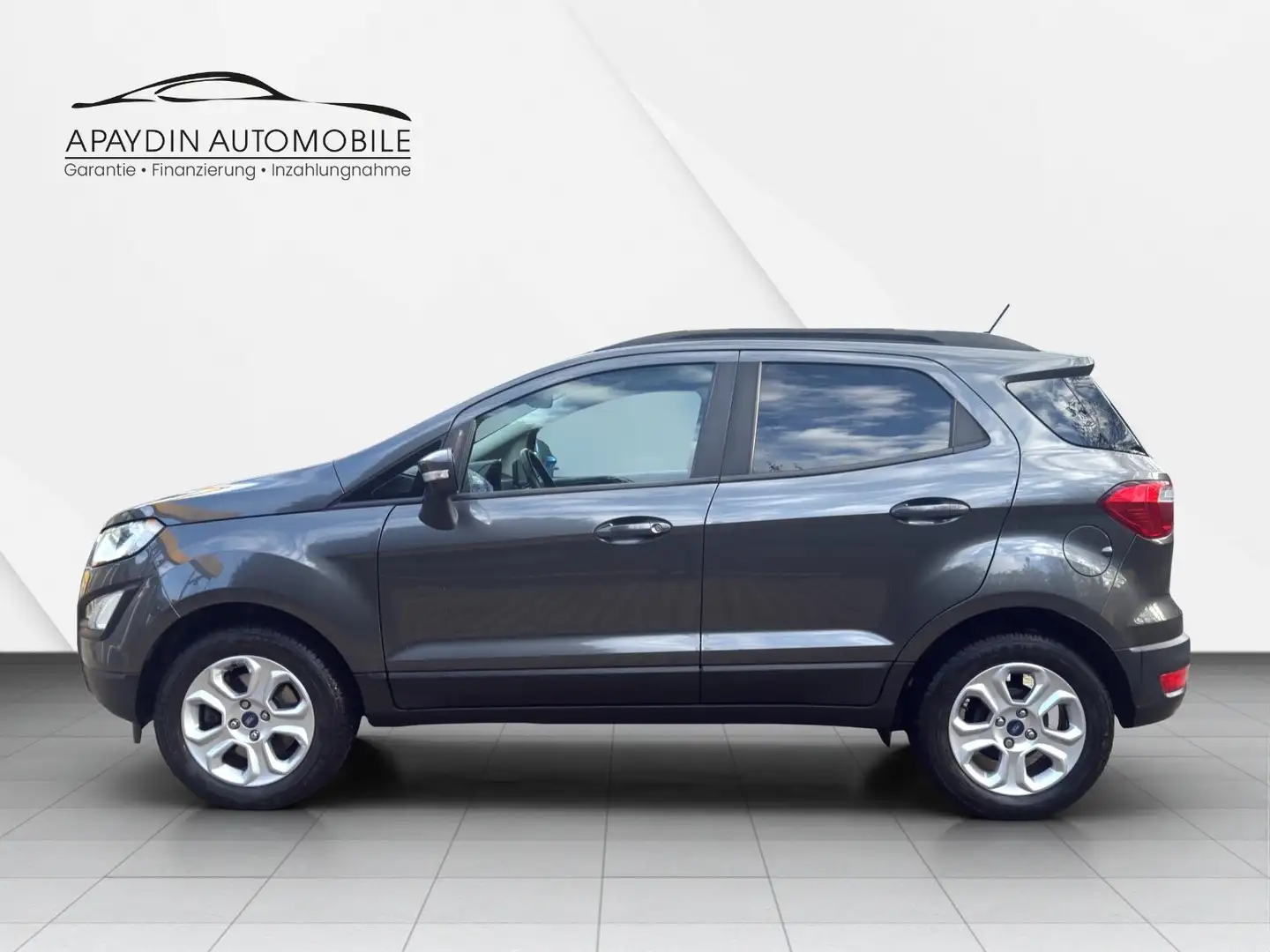 Ford EcoSport Cool & Connect NAVI/SHZ/LHZ/ALU/PDC/AHK Gris - 2