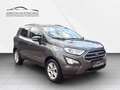Ford EcoSport Cool & Connect NAVI/SHZ/LHZ/ALU/PDC/AHK Gris - thumbnail 7