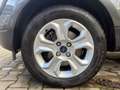 Ford EcoSport Cool & Connect NAVI/SHZ/LHZ/ALU/PDC/AHK Gris - thumbnail 37