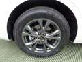 Ford Kuga 2.5 Full Hybrid 190 CV CVT AWD ST-Line X Bianco - thumbnail 6