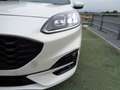 Ford Kuga 2.5 Full Hybrid 190 CV CVT AWD ST-Line X Bianco - thumbnail 5