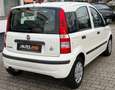 Fiat Panda 1.2 8V Dynamic*TÜV 11/2026*GEPFLEGT!* Weiß - thumbnail 13