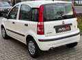 Fiat Panda 1.2 8V Dynamic*TÜV 11/2026*GEPFLEGT!* Weiß - thumbnail 15