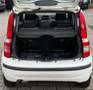 Fiat Panda 1.2 8V Dynamic*TÜV 11/2026*GEPFLEGT!* Weiß - thumbnail 12