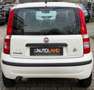 Fiat Panda 1.2 8V Dynamic*TÜV 11/2026*GEPFLEGT!* Weiß - thumbnail 14